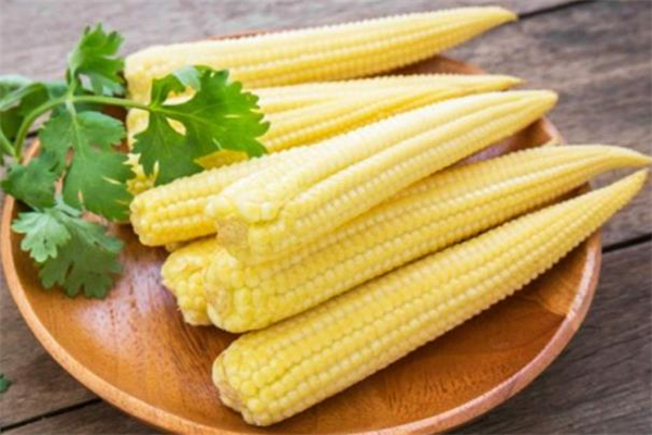 玉米笋是玉米吗,玉米笋是小玉米吗