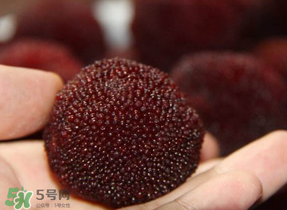 杨梅籽可以吞下去吗,杨梅籽可以吞进肚子里面吗?