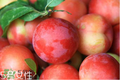 杨梅不可以和什么一起吃,西梅不能和什么一起吃