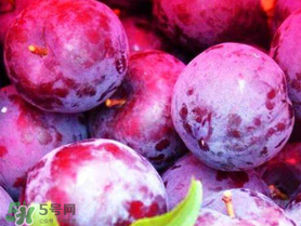 红心李孕妇可以吃吗?,红李子孕妇可以吃吗?