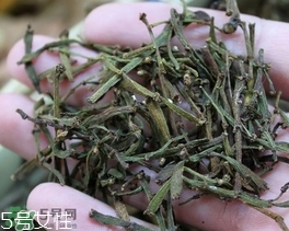 螃蟹脚茶哪些人不能喝,螃蟹脚茶可以天天喝吗