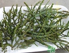 2018螃蟹脚茶多少钱一斤,螃蟹脚茶的价格