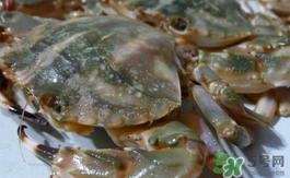 花盖蟹价格,花盖蟹市场价多少钱