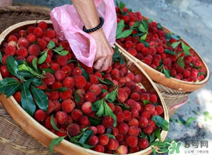 杨梅和西瓜能一起吃吗?,杨梅不能和什么水果一起吃