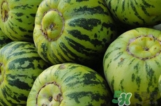 菜瓜是黄瓜吗,黄瓜是不是蔬菜