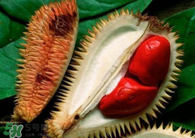 红肉榴莲是叫什么品种,红色榴莲肉是什么品种