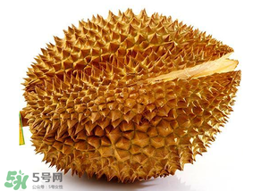 青榴莲和黄榴莲哪个好,红心榴莲是什么品种