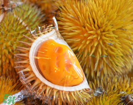 石榴有转基因的吗,红心水果是不是转基因的