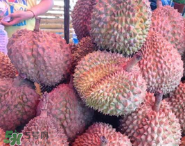 红心榴莲好吃吗,红肉榴莲好吃吗