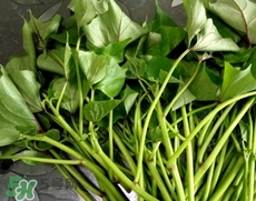 虾和豌豆尖能一起吃吗,红苕能和虾一起吃吗