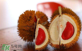 红肉榴莲多少钱一斤,榴莲市场价格多少钱一斤