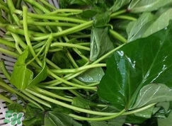 红苕尖怎么保存才新鲜呢,豌豆尖怎么保存