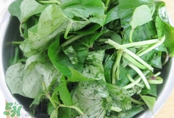 炒苕尖的家常做法大全,红苕尖怎样炒好吃