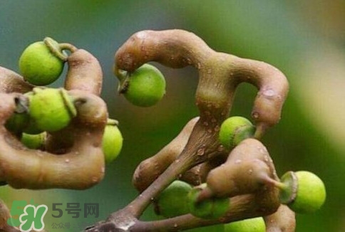 万寿果卖多少钱一斤,万寿果价格