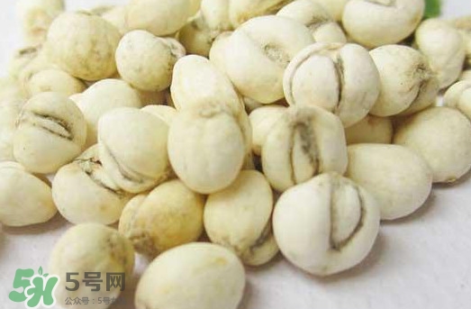 川贝和川贝母的功效一样吗,川贝母和川贝一样吗?