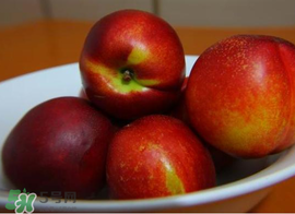 吃油桃会拉肚子吗?,吃多了会拉肚子吗