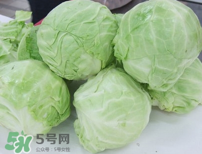 圆白菜是卷心菜吗?,圆白菜是卷心菜吗营养