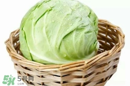 什么是圆白菜,圆白菜是什么菜图片 什么是圆白菜,圆白菜是什么菜图片