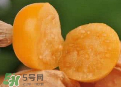 姑娘果是寒性吗,姑娘果寒性还是温性的