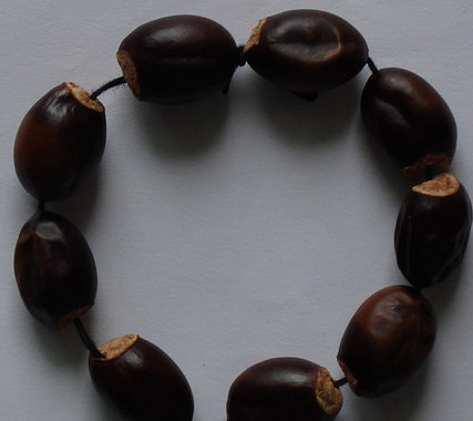 荔枝核和什么治糖尿病,糖尿病人吃荔枝核有好处吗