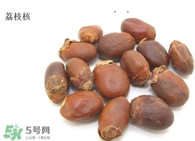 荔枝核能种吗会结果吗,荔枝核能种吗?