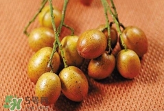 今年黄皮的批发价格,鸡皮一般是多少钱一斤