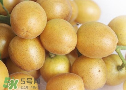 黄皮能放冰箱吗?,黄皮可以放冰箱吗