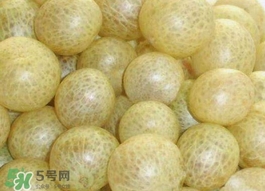 怎么腌制黄皮果干,怎么腌制黄皮果? 怎么腌制黄皮果干,怎么腌制黄皮果?