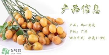 黄皮果什么时候成熟,北方能载吗?,黄皮果几月份成熟