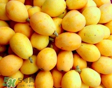 孕妇吃枇杷膏可以吃吗,孕妇可以喝枇杷膏吗