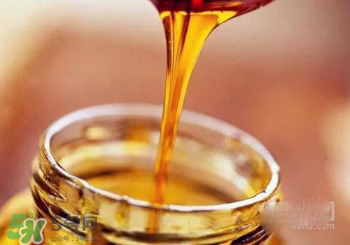 蜂蜜水的作用是什么,蜜蜂蜜水的作用和功效