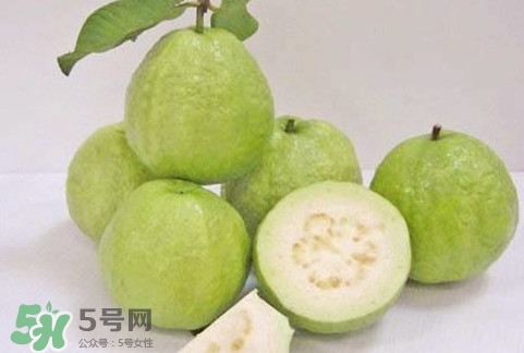 番石榴在哪里可以买,番石榴的图片及价格