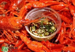 孕妇可以吃虾黄吗,虾的虾黄在哪里