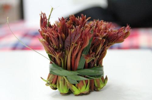 香椿发苦能吃吗,香椿有点苦还能吃吗