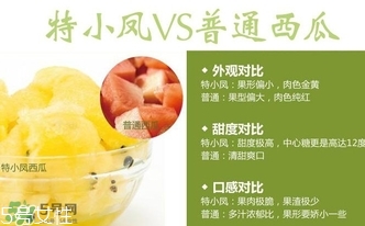 特小凤西瓜孕妇能吃吗?,特小凤西瓜孕妇可以吃吗