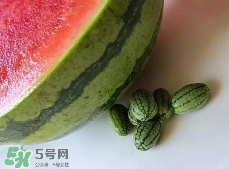 小西瓜是转基因吗,黄西瓜是转基因西瓜吗