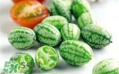 生西瓜怎么吃,为什么西瓜可以生吃,南瓜不行