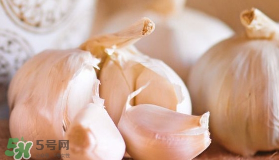 蒜头怎么做,蒜怎么长新蒜