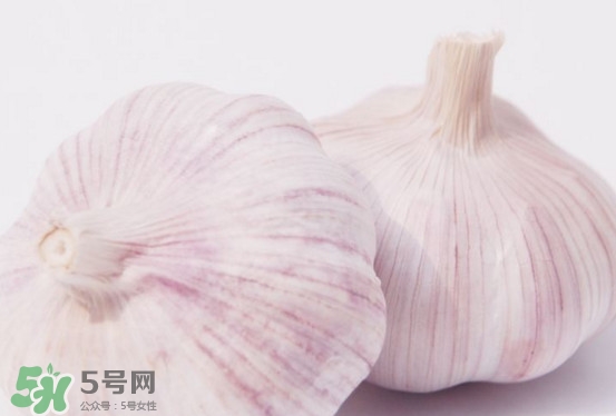 今年的蒜头多少钱一斤,蒜头批发价钱多少钱一斤