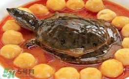 甲鱼怎样煲汤才好喝,甲鱼汤怎么做好喝又营养