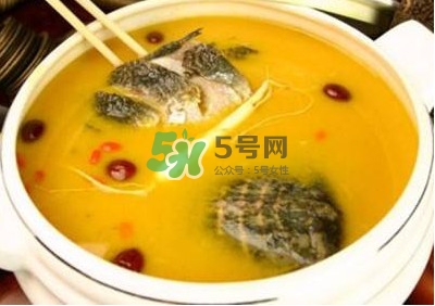 甲鱼汤怎么做好喝又营养,甲鱼汤怎么做好喝 甲鱼汤怎么做好喝又营养,甲鱼汤怎么做好喝