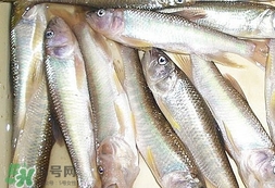 马口鱼怎么做好吃,马口鱼怎么吃