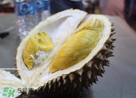 猫山王榴莲价格多少钱一斤,马来西亚榴莲猫山王多少钱一斤