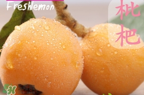 一岁宝宝可以吃枇杷吗,一岁孩子能吃枇杷吗