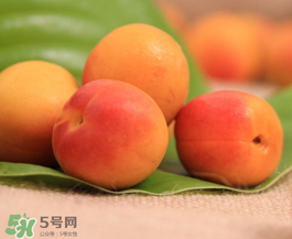 杏子可以空腹吃吗?,杏仁能空腹吃吗