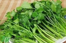 香菜是碱性吗,香菜是酸性还是碱性