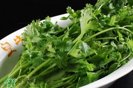 香菜可以下奶吗,香菜是回奶的还是催奶的 香菜可以下奶吗,香菜是回奶的还是催奶的