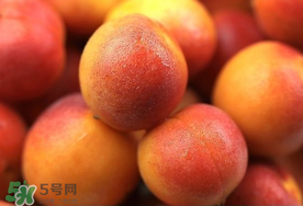 杏子怎么保鲜时间长,杏子怎么保鲜?