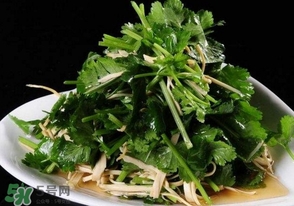 茴香菜是什么菜,茴香菜是什么菜图片是怎样的 茴香菜是什么菜,茴香菜是什么菜图片是怎样的