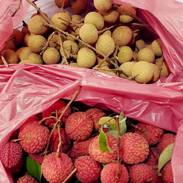 荔枝和龙眼哪个更容易上火,荔枝和龙眼的味道差不多